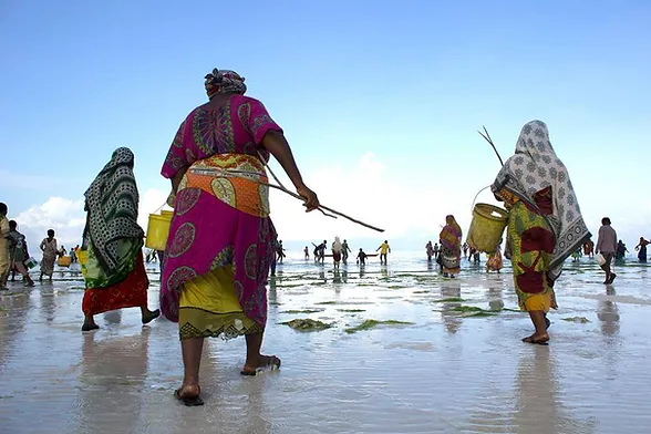 mwanbao coastal community