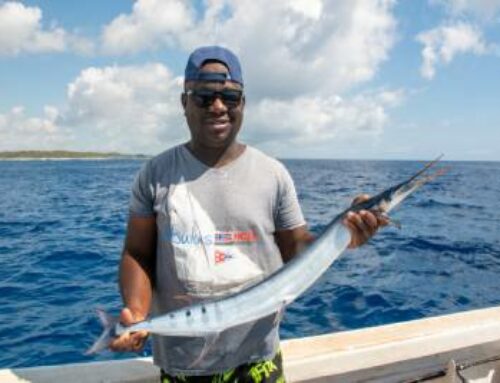 Promoting innovations to transform the life of artisanal fishers in Mauritius