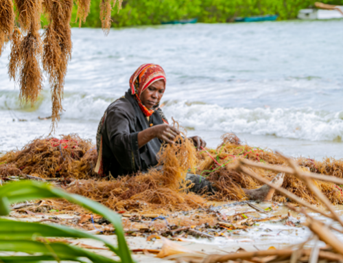 Un nouveau souffle pour les cultivateurs d’algues d’Ushongo en Tanzanie